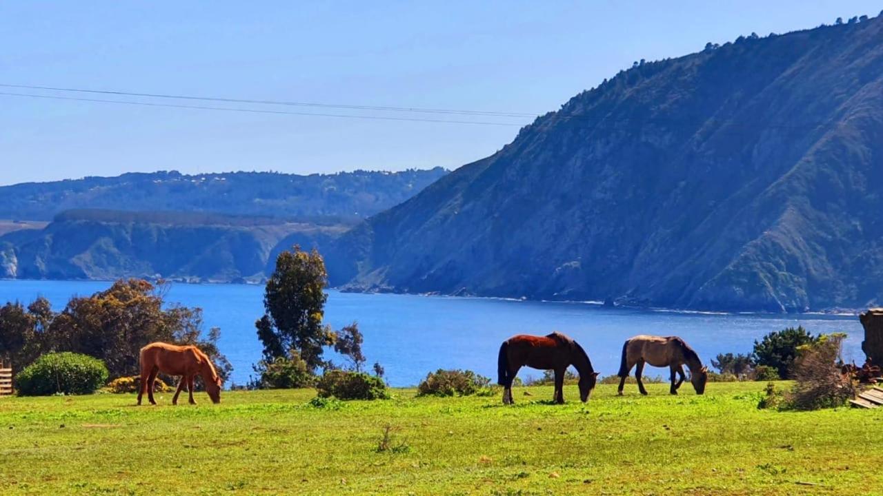 Cabana En Tunquen Con Parrilla, Fogon, Piscina Y Bosque エクステリア 写真
