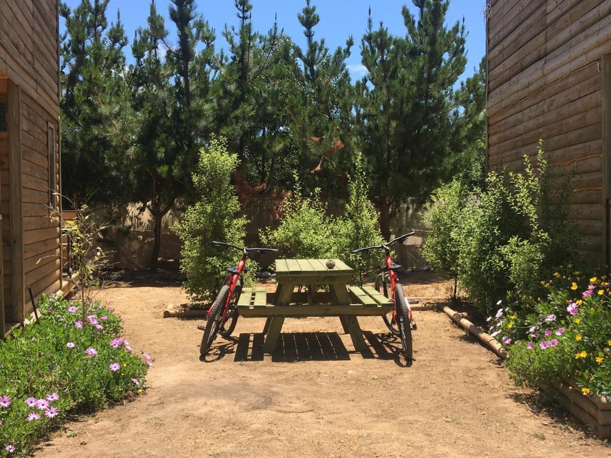 Cabana En Tunquen Con Parrilla, Fogon, Piscina Y Bosque エクステリア 写真